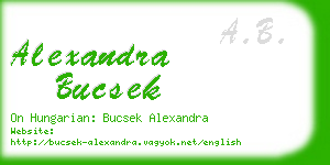 alexandra bucsek business card